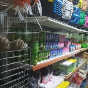 البصير للحيوانات الألفية وشرسة 