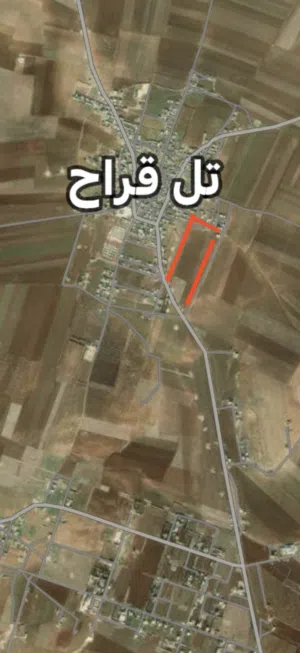 ارض طابو اخضر