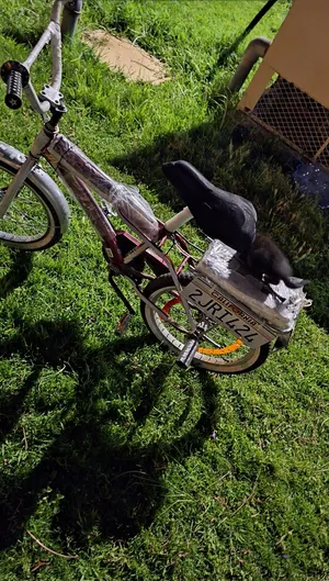 Bicycles . Used0