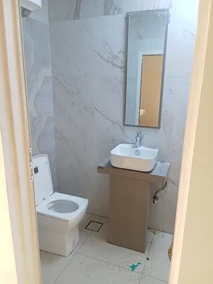 سباك صحي مصري