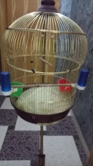 للبيع قفص طيور مستحدم