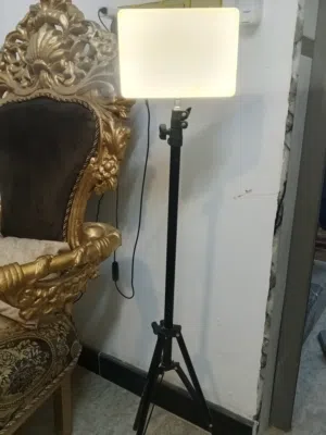 ستاند ضوء .