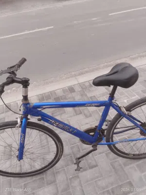 سيكل فورملا1