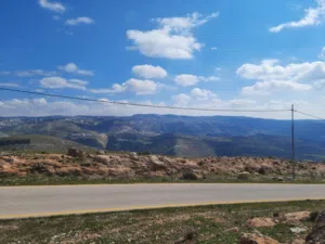 Farm Land for Sale in Salt Al Balqa'