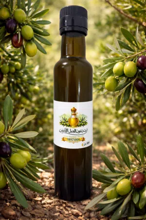 زيت زيتون الجبل الأخضر