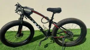 2021 fat Tyre bicycle