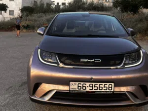 بي واي دي دولفين 2022