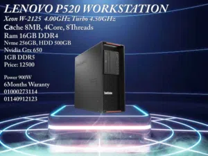 LENOVO P520 Workstation