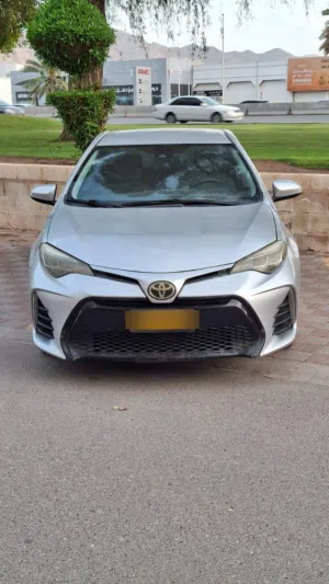 Used Toyota Corolla in Muscat