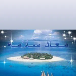 Msalameh2011 
