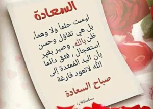 مطلوب شقة بجانب عمارات السكة السراج طريق جامع الصحابة للاستبدال بقطعة ارض