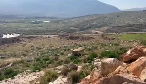 Mixed Use Land for Sale in Nablus Taluza