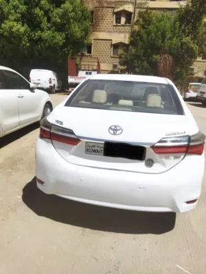 Used Toyota Corolla in Hawally