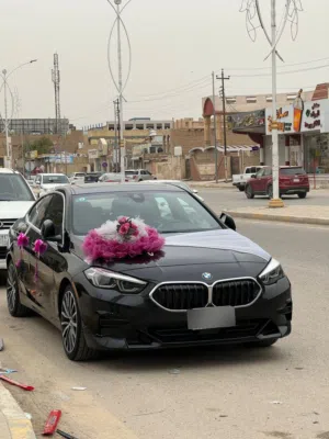 بي ام دبليو 228i