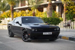 للبيع جالنجر sxt2020