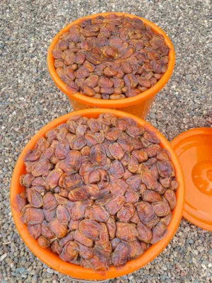 تمر خلاص الظاهره