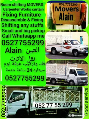 Movers and Packers in Alain