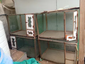 Cage for sale Sharjah zubair