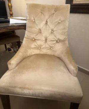 4 dining chairs from the one store