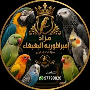 مجموعه مزاد إمبراطوريه البغبغاء مفيده جدا لكل من يريد بيع او شراء الطيور مهم رقم التواصل نهايه الوصف