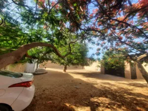 منزال البيع