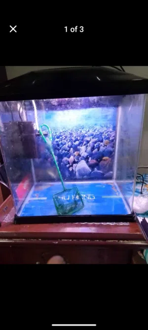 aquarium and foot massager for sale. Exchange for anything please message.