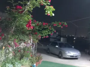 افانتي 1997