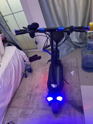 Electric scooter
