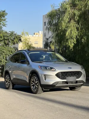 Used Ford Escape in Amman