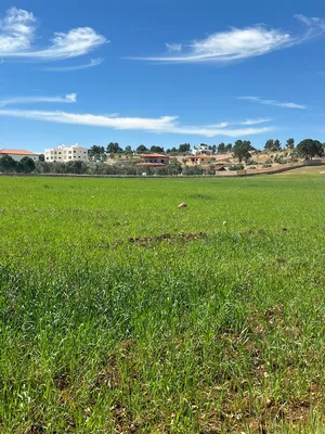Mixed Use Land for Sale in Jerash Unaybah