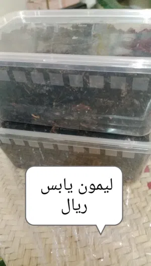 ليمون عماني جاهز بكميات من لديه الرغبة يتواصل
