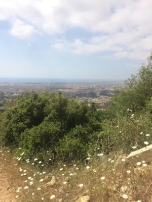 Prime Hilltop 5100sqm Land in Kfarchima - Unblockable Sea & City View