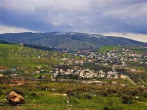 Mixed Use Land for Sale in Zarqa Al-Alouk