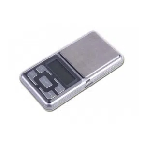 Pocket scale