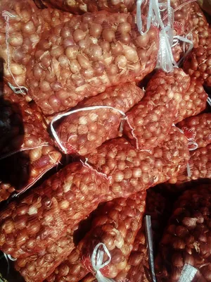 Vegetable & Fruit4
