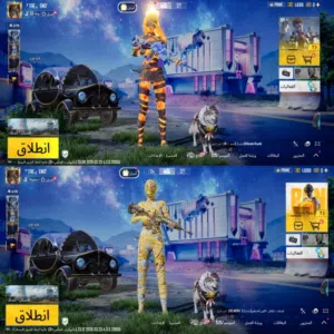 حساب ببجي موبايل PUBG Mobile accounts