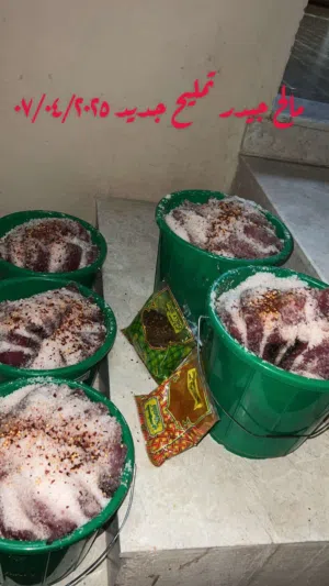 مالح جيدر طازج