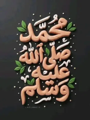 شقة تركيب للبيع الدور 3باب عكارة