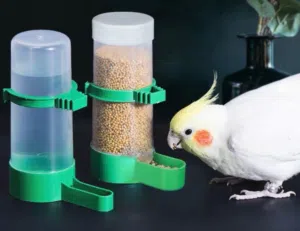 حوض ماء واكل للطيور