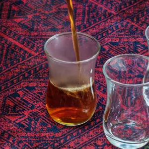 محمد الناعبي .
