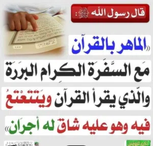 مدرس قرآن كريم ولغة عربية مجاز بروايه حفص عن عاصم وبالقرات السبع من طريق الشاطبية