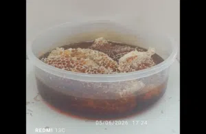 عسل برم بالشمع الطبيعي