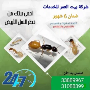 مكافحة  الحشرات والزواحف والقوارض