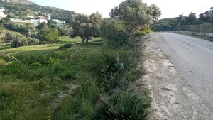Mixed Use Land for Sale in Tétouan Other