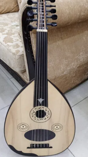 عود تركي احترافي