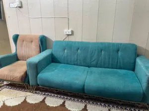 تخم قنفات مستعمل
