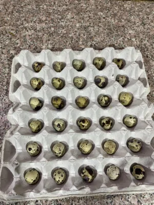 بيض سمان محلي