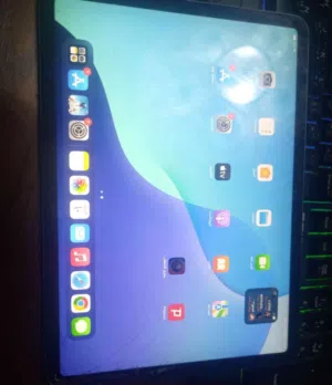 IPad pro 2018 .11.5