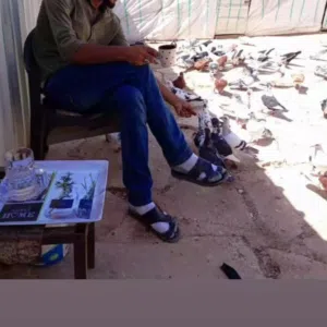ابو علي 