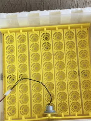 فقاصه دحي شبه جديده